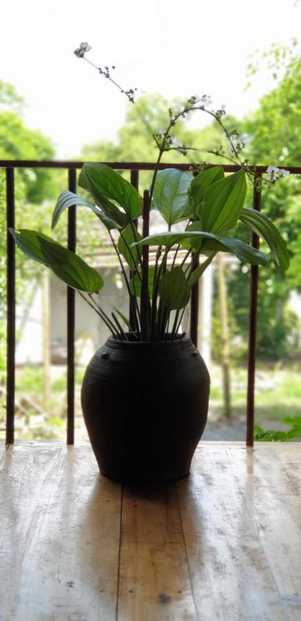 Tuyet'S Homestay Ninh Bình Extérieur photo