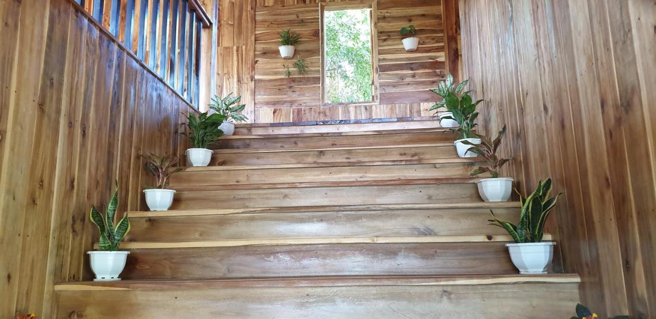 Tuyet'S Homestay Ninh Bình Extérieur photo