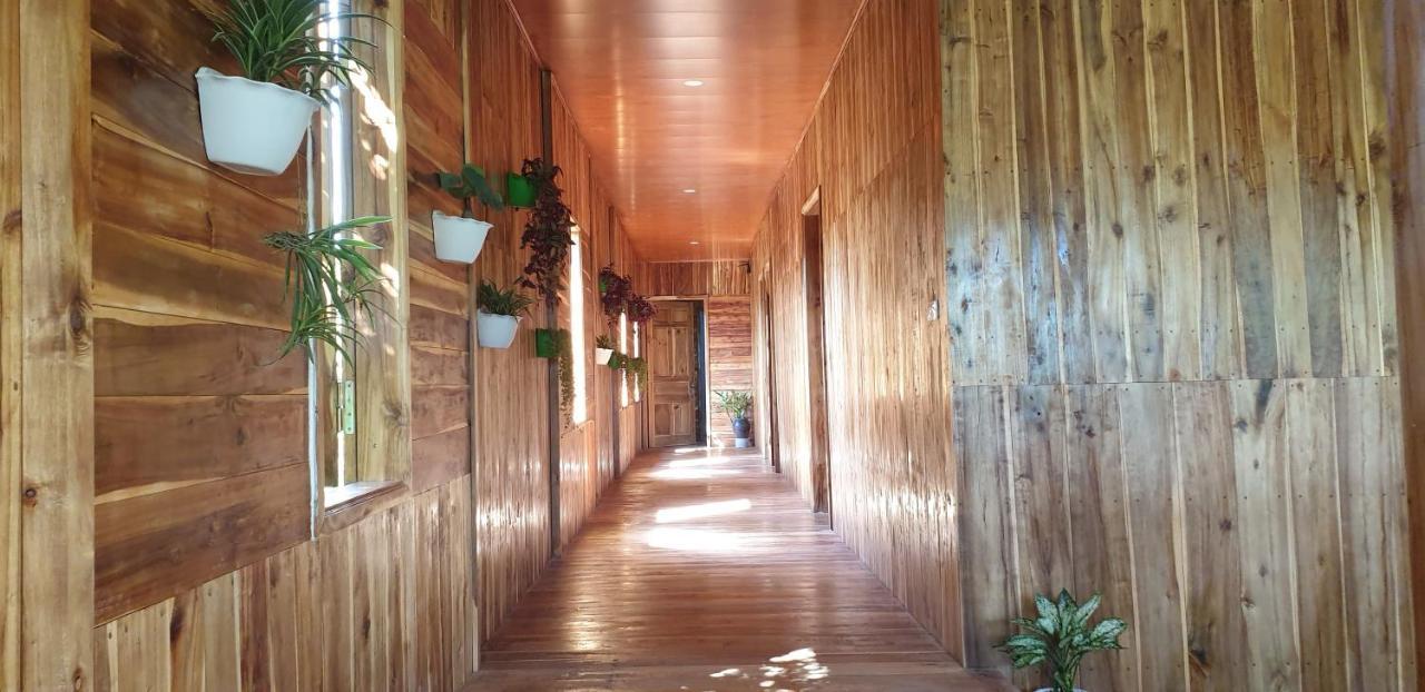 Tuyet'S Homestay Ninh Bình Extérieur photo