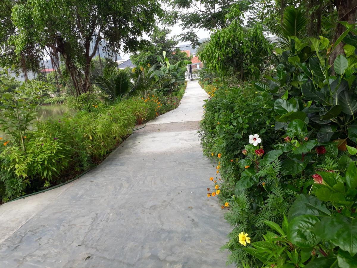 Tuyet'S Homestay Ninh Bình Extérieur photo