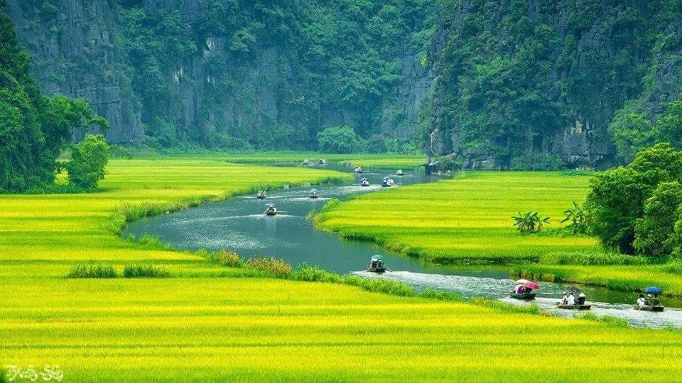 Tuyet'S Homestay Ninh Bình Extérieur photo