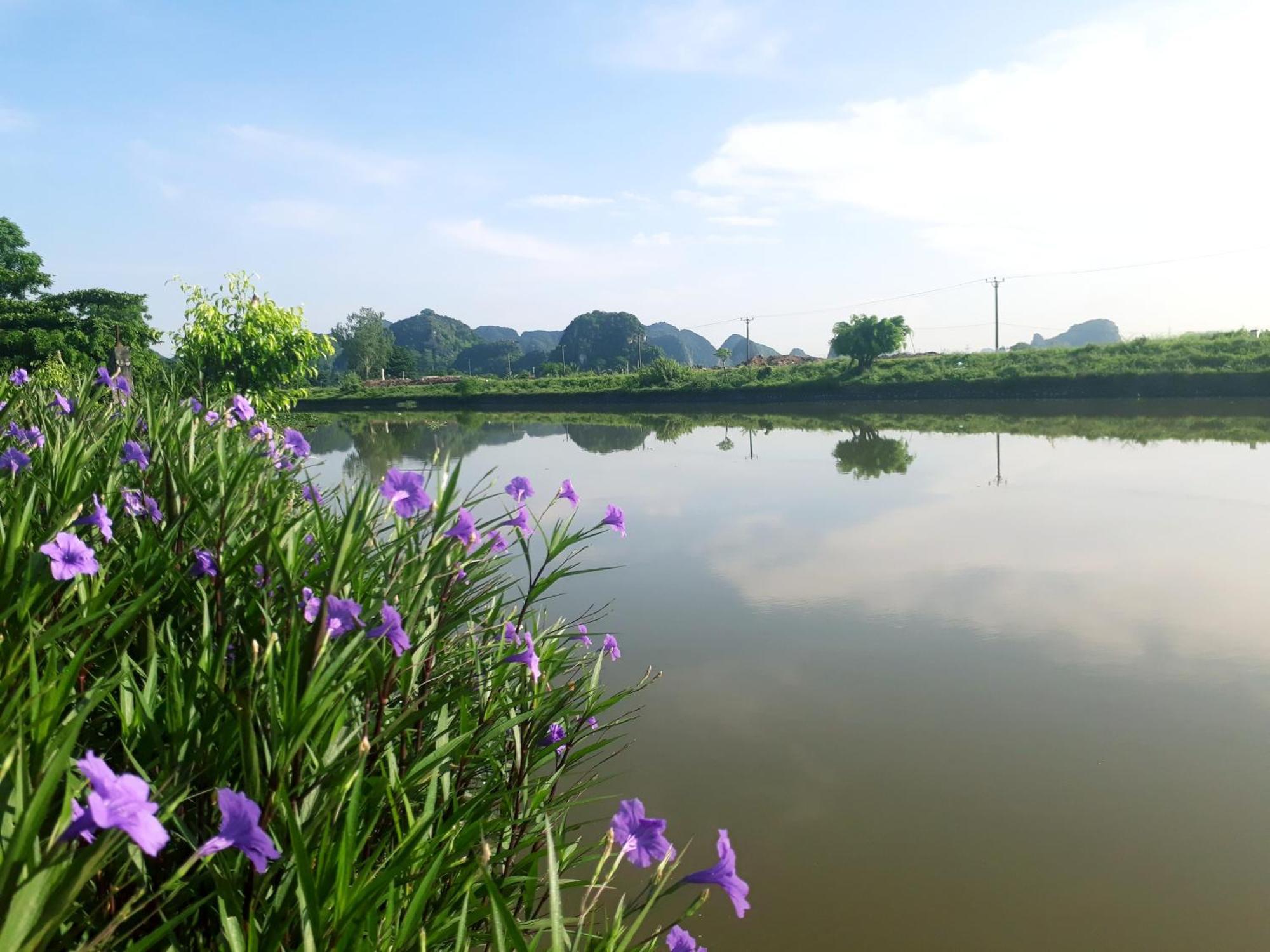 Tuyet'S Homestay Ninh Bình Chambre photo