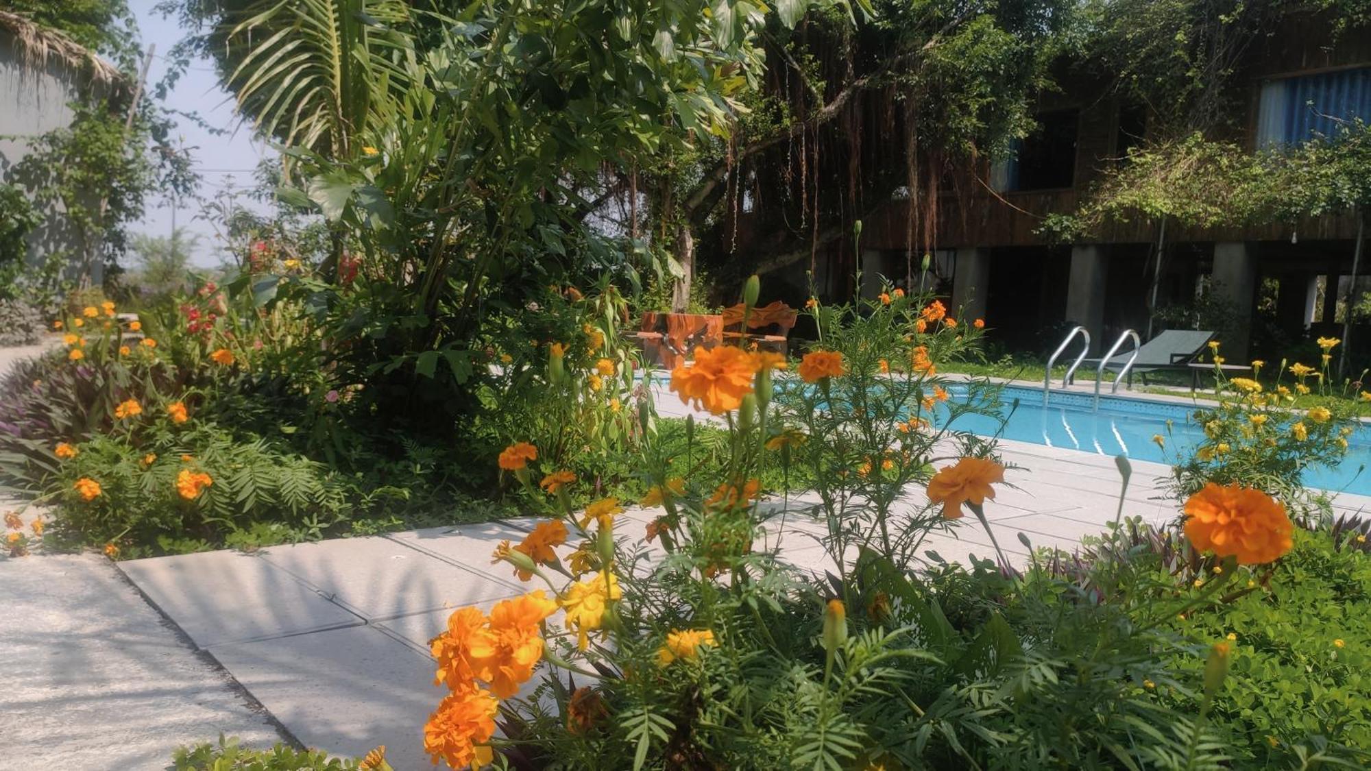 Tuyet'S Homestay Ninh Bình Extérieur photo