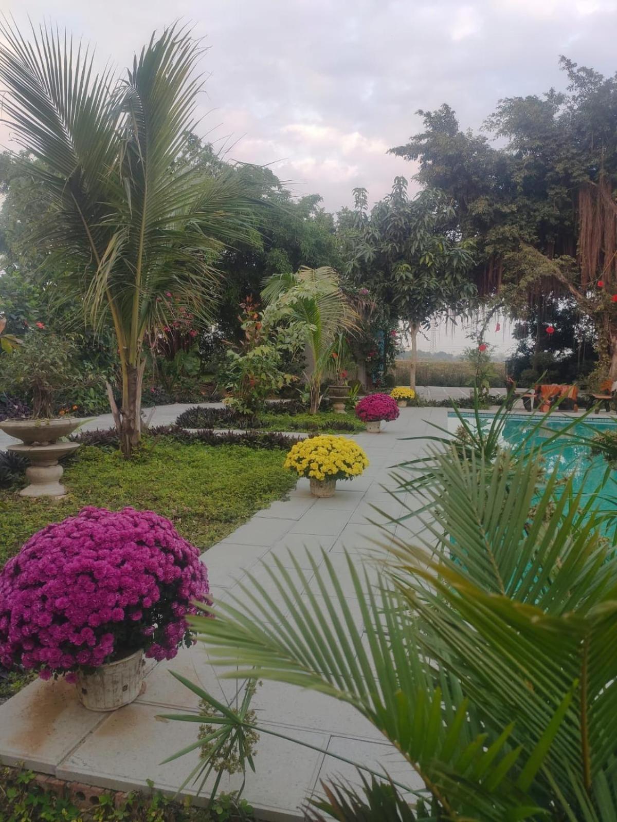 Tuyet'S Homestay Ninh Bình Chambre photo